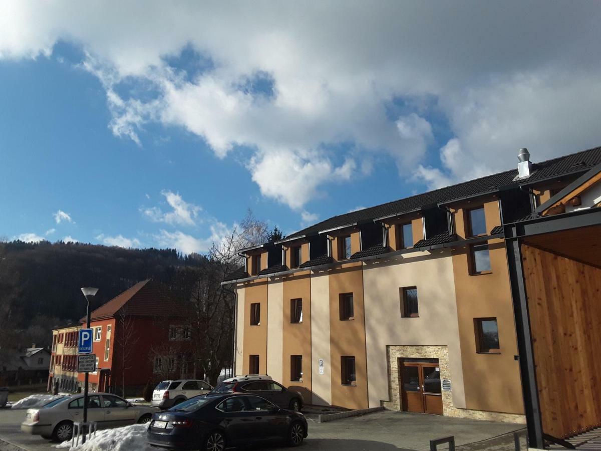 Apartman Lipa, Loucna Nad Desnou Exterior photo
